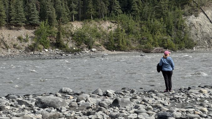 Nenana River
