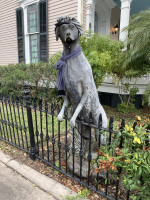 Met Floyd the owner. His dog is looking out to sea keeping watch!